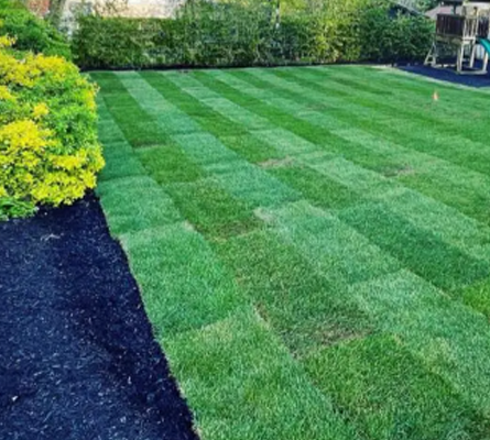 Sod installation near me